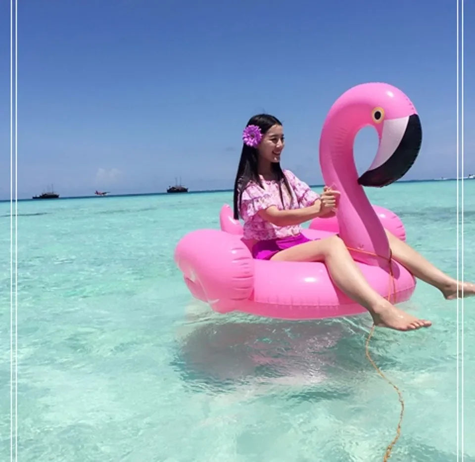 Giant Inflatable Flamingo Pool Float 